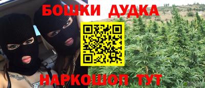 МДПВ Будённовск