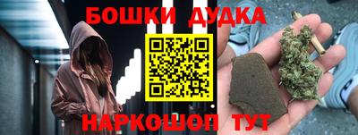 МДПВ Будённовск