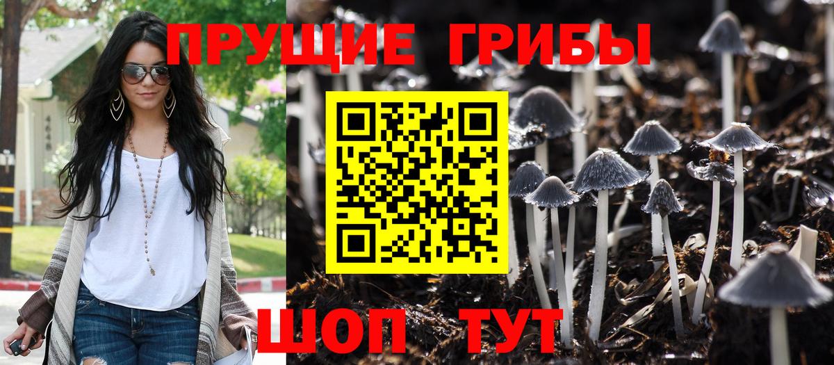 Петропавловск-Камчатский  Галлюциногенные грибы ЛСД  Вход с VPN 